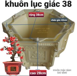 khuôn đúc chậu cảnh lục giác 38 (khuôn ABS có lòng trong ghép) dễ đàng sử dụng không cần ký thuật