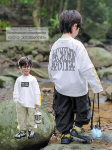 Boys Long Sleeve Cotton T-Shirt Spring Autumn Pure Cotton Base Layer Shirt Korean Style Loose Fit Childrens Fashion
