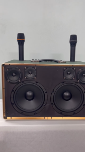 Loa xách tay Bluetooth chính hãng AZPROAZ-D318 công suất lớn 2 bass 20Mạch 12 núm chỉnh có Reverb