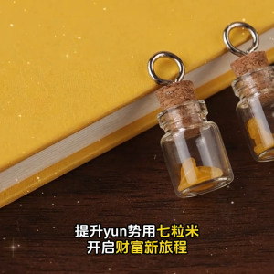 已开光祈福 七粒福米 招财摆件 招财七粒米仓 发财瓶 生财米罐 财富瓶 神台办公桌家居装饰 随身携带 创意礼物 风水 元宝 五帝钱 招财 風水擺件 FENG SHUI Decoration