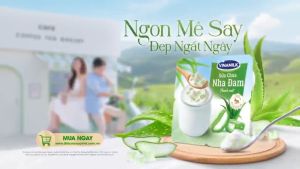 Lốc 4 hộp Sữa chua Nha Đam Vinamilk 100g