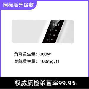 Air Purifier Disinfectant Machine 110V Bathroom Odor Eliminator Pet Deodorizer Negative Ion Generator European Standard