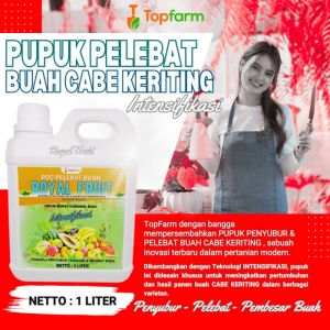 Pupuk Pelebat Buah / Obat Keriting Daun Cabe Merah / Obat Semprot Cabe Biar Merah / Obat Busuk Kering Cabe Merah / Obat Semprot Cabe Cepat Merah