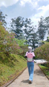 Tas Ransel wanita Kepompong bahan Kanvas Premium