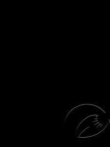 COD TaffLED Senter LED Long Range Zoom USB Recharge XHP70.2 9000 Lumens - HS313