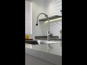 Billion B-5168-SS High Quality Kitchen Sink Mixer Tap With Pull Out Function Stainless Steel (SUS 304)