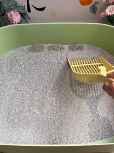 Miniso | Odor And Urine Odor Removal Bentonite Clay Cat Litter