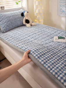 Kiss Dear | Warm Thick Milk Velvet Mattress Pad