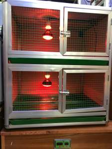 Chuồng úm gà con giá rẻ