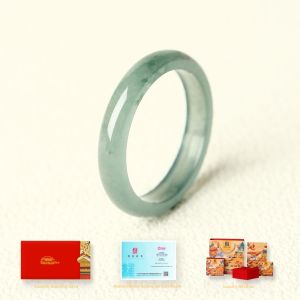 GUGONG UPDATE | Ice Seed Natural Jade Simple Circle Fortune Boosting Ring