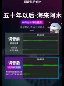2024流行新款DJ热门经典音乐U盘网红歌曲dj高音质舞曲MP3车用usb2024 Pop New DJ Popular Classic Music USB Disk Internet Celebrity Song DJ High Sound Quality Dance Music MP3 Car USB