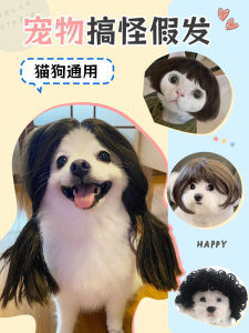 Cat Dog Wig Funny Funny Dress up Pet Headdress Hat Decoration Pet Costume TikTok Same Style Accessories