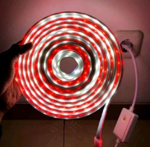 lampu led merah putih bendera selang  220V paket komplit tinggal pasang