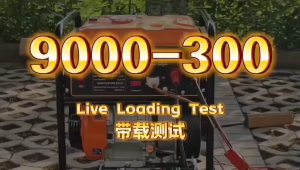 WELDING GENERATOR - GENSET LAS STAHLWERK 300A