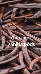 Vanilla Bean Gourmet Use (3 Pods) 10g