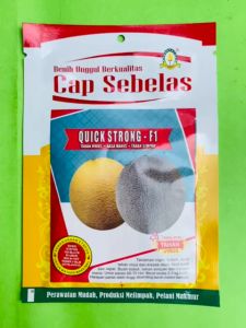 Benih Melon Tahan Virus QUICK STRONG-F1 isi 10gram produk Cap Sebelas F