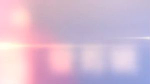 เครื่องนวดแมว เครื่องนวดแมวออโต้ นวดแมว นวดหัวแมว, เครื่องนวดหัวแมว เกาหัวแมว ของเล่นหมา ที่เกาหัวแมว เครื่องนวดหัวแมว, เกาหัวแมว ของเล่นแมว ที่นวดหัวแมว