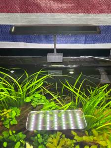 โคมไฟ LED RGB แบบปรับได้ 360 องศา 13W กันน้ำสำหรับตู้ปลาและต้นไม้