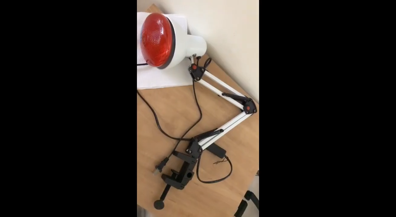 ABS material with 360 ° adjustment 220V Physiotherapy Lamp Heating infrared light therapy Infrared Heat light therapy red light therapy Adjustable heat ble Relieve muscle tension