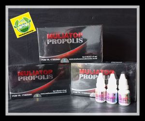Propolis Muliatop Top Propolis isi 3 botol membantu menyehatkan tubuh multivitamin anti virus bakteri dan jamur