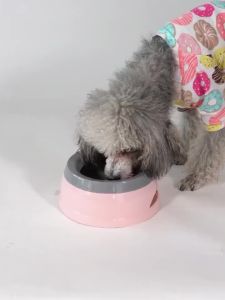 Pet Dog Bowls Floating Not Wetting Mouth Cat Bowl No Spill Drinking Water Feeder Plastic Portable Dog Bowl Support Accessories