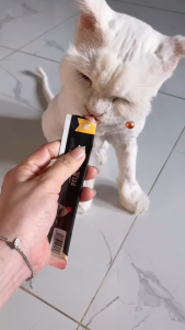 Bite of Wild Súp thưởng dành cho mèo túi 4 thanh x15g hỗ trợ lông da đề kháng