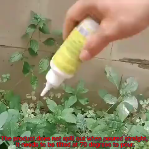 75g Anay Termite Ant Killer Powder Gel 6Pcs Long Lasting Fast Acting Insecticide Safe For Household Use Pest Control Treatment Against Termites & Ants