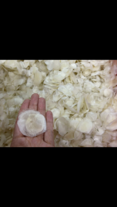 Dried Fish Scale Collagen!深海鱼鳞片!石甲鱼!1kg!