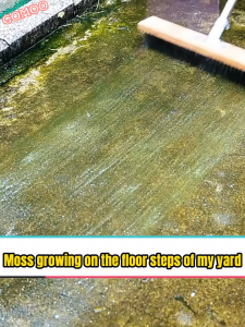 20/30/40cm Stainless Steel Wire Brooms Floor Brush Heavy Duty Mop For Pool Garage Patio Garden Moss