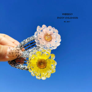 Sweet Fresh Children's Hair Clips: Transparent Dried Flower Edge & Korean Style Baby Girl Bangs Clips