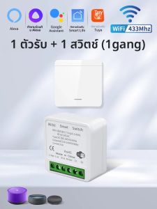 20A Tuya WiFi 2-Way Control Mini Relay Smart Switch Timer Smart Home DIY Switches สำหรับชีวิตอัจฉริยะทำงานร่วมกับอเล็กซากูเกิลโฮม