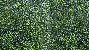 Wall Grass Rumput Tiruan Dinding Artificial Wall Plant Artificial Grass Wall Rumput Pagar Rumput Dinding 40CM X 60CM Milan Turf Wall (1 Pcs)Artificial Wall Grass Plants Decoration Garden Plastic Lawns Plants Garden