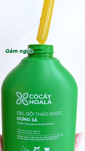 Combo Thảo Dược Cỏ Cây Hoa Lá Dầu Gội Dầu Xả Gừng Sả 500G Và Sữa Tắm Gừng Nghệ 500G