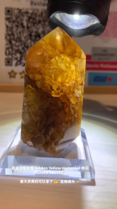 超美浓郁金黄Golden Yellow Hematoid 娇花 Golden Tower✨  要天然黄的可以拿下💪  全抛透光✨   #ecopalladium #goldentower #美丽带财气