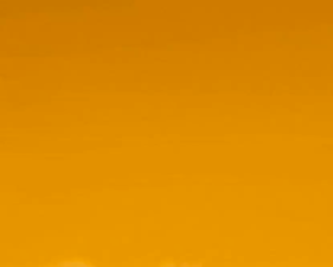 Mainan Leopard Gecko Artikulasi – Replika Hewan Reptil Bisa Digerakkan Koleksi Realistis terpopuler