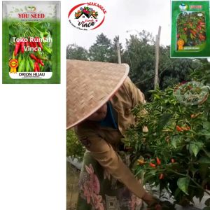 Benih Bibit Cabe Rawit Ijo ORION HIJAU 500s You Seed Tipe Siramos