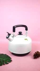 Teko Listrik Maspion 2 dan 3 Ltr Silver & Rainbow teko Siul ElektrikAnti Karat Food Grade - KP