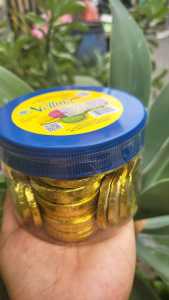 COKLAT KOIN ISI 45 BIJI