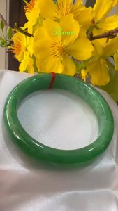 Vòng Cẩm Thạch Bản Hẹ ĐL Ni 58mm Cao 13mm Dẩy 8mm Xanh Đậu Bông Trắng Lý đẹp nữ mệnh mộc hỏa thủy 57kg - 64kg đeo Món quà tặng người phụ nữ yêu quý của mình chính là Mẹ Vợ người yêu mình xin mời chỉ có 1250k ạ