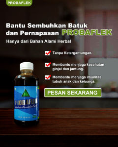 Probaflek Untuk Sembuhkan Batuk Kering dan Batuk Berdahak di Sertai Sesak Nafas