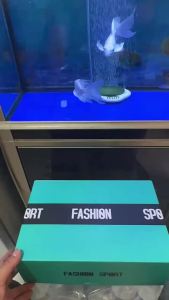 Summer Slipper Options for Men: Breathable Mesh Half Shoes, Versatile Casual Rubber Shoes, and Slip-On Lazy Shoes