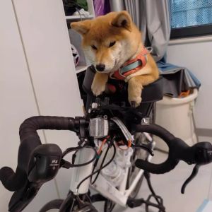 Foldable Pet Basket Cat And Dog Seat Universal for Mountain And Road Bikes Shopping Basket Bicycle Accessories Medium Size