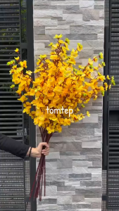 Sỉ Cành Hoa Mai Hoa Đào Trang Trí Tết Decor Phòng Khách