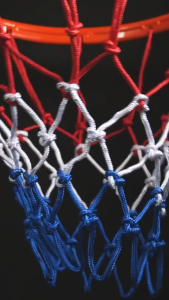 Elite 12-Loops Heavy Duty Basketball Net – Durable All-Weather Nylon – Professional Standard – White