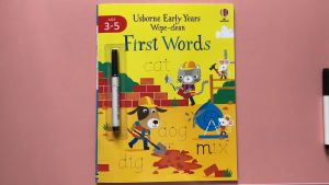 Usborne Wipe Clean Series