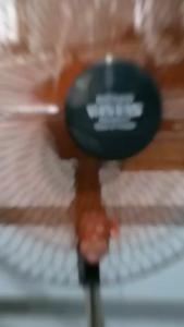 Quạt cây 5 cánh quạt đứng sải cánh 40cm chính hãng quạt lỡ công nghiệp quạt điện 220v Made in Viet Nam