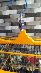 Gantungan Sangkar Burung Kotak Fullset Pion L. Messi Cantolan Sangkar Gantungan Burung