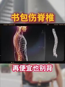 Spine Protective Lightweight Backpack