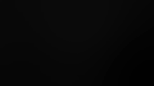 WD BLUE PC SSD 2.5" SATA