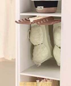 Underwear Rack Wardrobe Storage: Pullout Slide Rail & Multi-hook Suspender